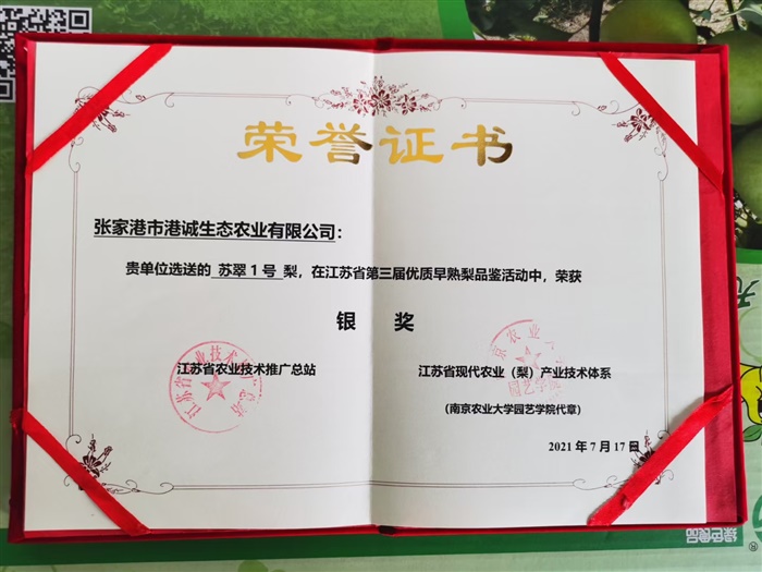 榮譽(yù)證書