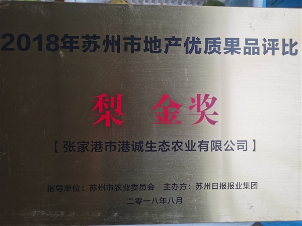 榮譽(yù)證書